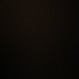 Meet your Posher, Jackson